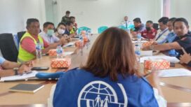 Ilustrasi | Sumber IOM