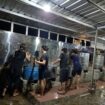 CPMI sedang dipekerjakan untuk membuat cincau berdalih PKL oleh PT Berkah Guna Selaras Malang
