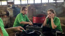 CPMI Job Rumah Tangga PKL Bikin Cincau | Sumber Judy Houyai
