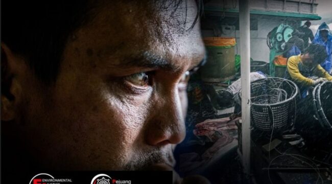 EJF dan PSP Indonesia Bongkar Praktik Tipu Daya Pembiayaan AKIM